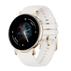 手表 GT 2 智能手表55025400 手表 42 mm ...