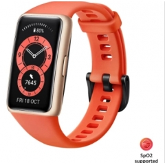  Band 6 – 健身追踪器 琥珀 日出